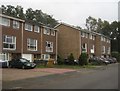 Houses in Ashdown Avenue