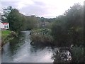 The River Piddle or Trent upstream from North Bridge