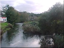 SY9287 : The River Piddle or Trent upstream from North Bridge by Tim Glover