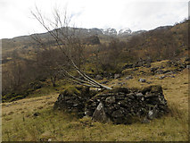 NM8899 : The "Ruin" by the Upper Reaches of the River Carnach by Gary Dickson