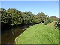 Shady pools on the Afon Dwyfor