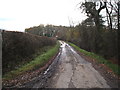 Lane heading south beside woodland