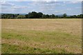 Harvested silage field, Nupend