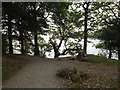 SD3996 : Path at Cockshott Point, Bowness-on-Windermere by Malc McDonald