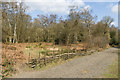 Pond on Holmwood Common