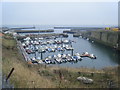 NZ4349 : Marina, North Dock, Seaham Harbour by Colin Pyle