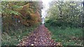 Looking down the old road