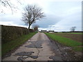 Track (footpath) to North Lingy Moor Farm