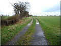 Farm track, Cowton Moor