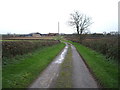 Winding track towards Manor House Farm, East Cowton