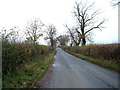 Heading south west from East Cowton towards North Cowton