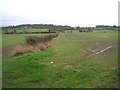 Fields and hedgerow, Atley Hill