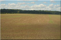 TL0056 : A very large arable field by N Chadwick