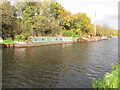 Calypso, narrowboat on Bull