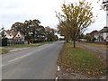 TM2446 : Main Road Martlesham by Geographer