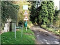 TQ6360 : Pilgrims Way, Trottiscliffe by Chris Whippet