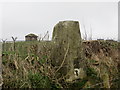 Triangulation Pillar and Reservoir Compound near Church Farm