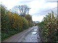 Coldrum Lane, Trottiscliffe