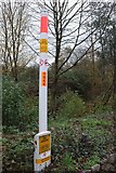 SX9066 : Gas pipeline marker, Torquay by Derek Harper