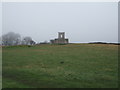 Grazing, Pilmoor Hill