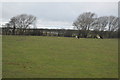 Farmland near Woodford Aerodrome