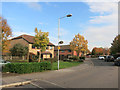 Willow Tree Lane Estate