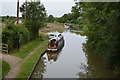 Ashby Canal at Bosworth Wharf