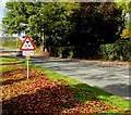 Warning sign - low bridge ahead, Waymills, Whitchurch, Shropshire