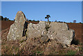 Cairnton Recumbent Stone Circle (7)