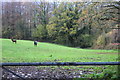 Paddock above River Usk