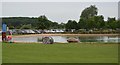 Small lake, Bosworth Lake