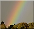 J3976 : Rainbow, Redburn, Belfast (November 2015) by Albert Bridge