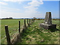 Fence Line View from Bull Hall Farm Triangulation Pillar