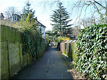 TQ2889 : Path to Lanchester Road from Highgate Wood by Robin Webster