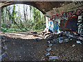 Under a bridge on abandoned railway