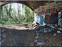 TQ2889 : Under a bridge on abandoned railway by Robin Webster