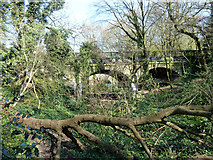 TQ2889 : Abandoned Alexandra Park (or Palace) branch line by Robin Webster