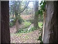 SN1001 : St Lawrence Church Gumfreston - view from south porch of springs by welshbabe