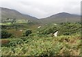 Well developed river terraces in the lower reaches of the Bloody Bridge River valley