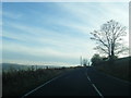 NY7753 : A686 climbs in West Allendale by Colin Pyle