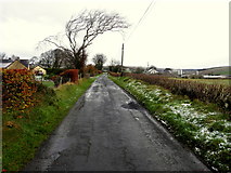 H4875 : Backglen Road, Crosh by Kenneth  Allen