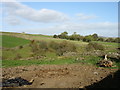 Farmland above Hunderthwaite