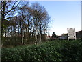 Wooded area in the centre of Womersley