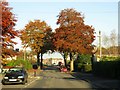 Beech Avenue in Swindon