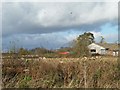 Low grey clouds over West Field, near West Lilling