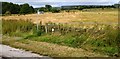 Footpath off Hathersage Rd