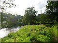 Footbridge on the River Darwen in Hoghton Bottoms