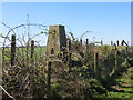 Hedge and Fences enclosing a Triangulation Pillar at Moel Rhydeinon