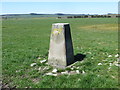 Field view from Blaen-cribor Triangulation Pillar