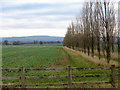 Field and footpath near Longcot